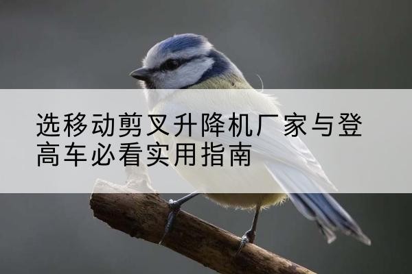 临海电动升降机厂家-选移动剪叉升降机厂家与登高车必看实用指南