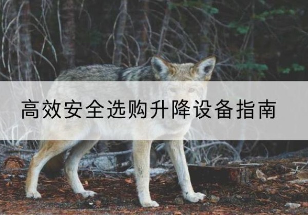 临海升降货梯厂家推荐-*安全选购升降设备指南