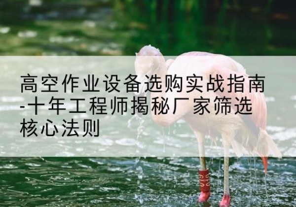 临海剪叉式升降机厂家-高空作业设备选购实战指南-十年工程师揭秘厂家筛选核心法则